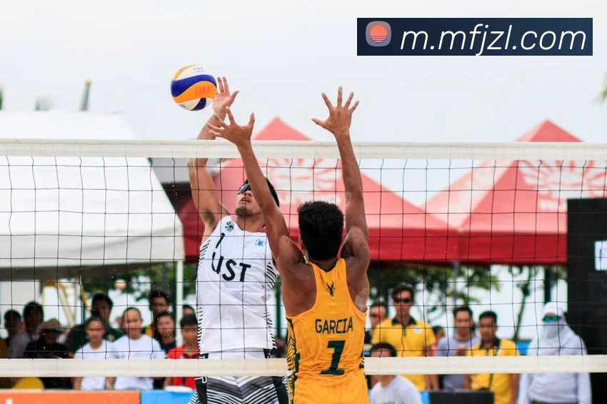 尊龙凯时平台生态图