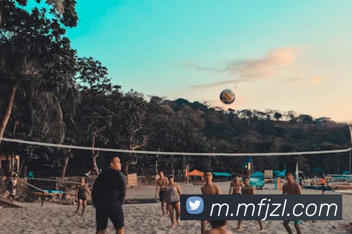 尊龙凯时APP 封面图